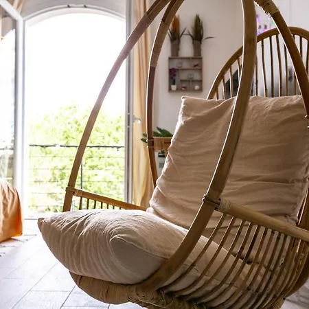 Deluxe Roi Lion By Yeswebook